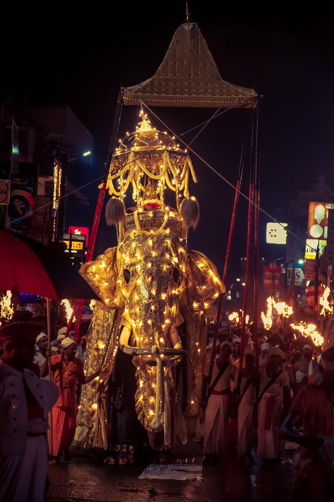 A tusker dressed in lights walks under a tall canopy at the Esala Perahera in Kandy, with torch bearers on either side
