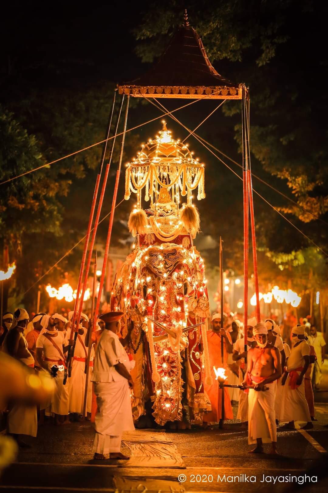 A tusker dressed in lights walks under a tall canopy at night, with torch bearers around it